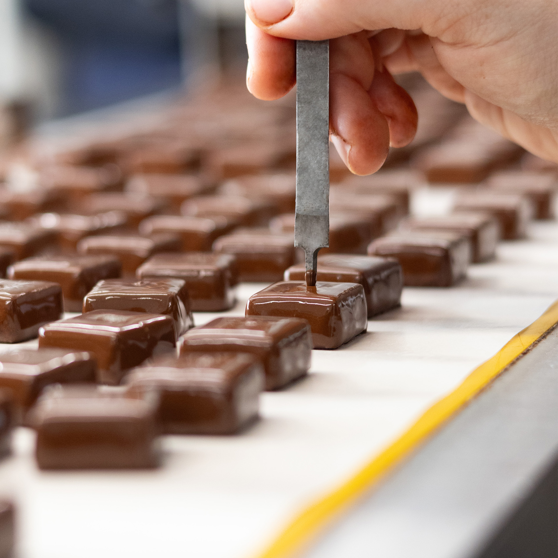 C.Chocolat, votre chocolatier à Brest, Guipavas, Landerneau et Quimper